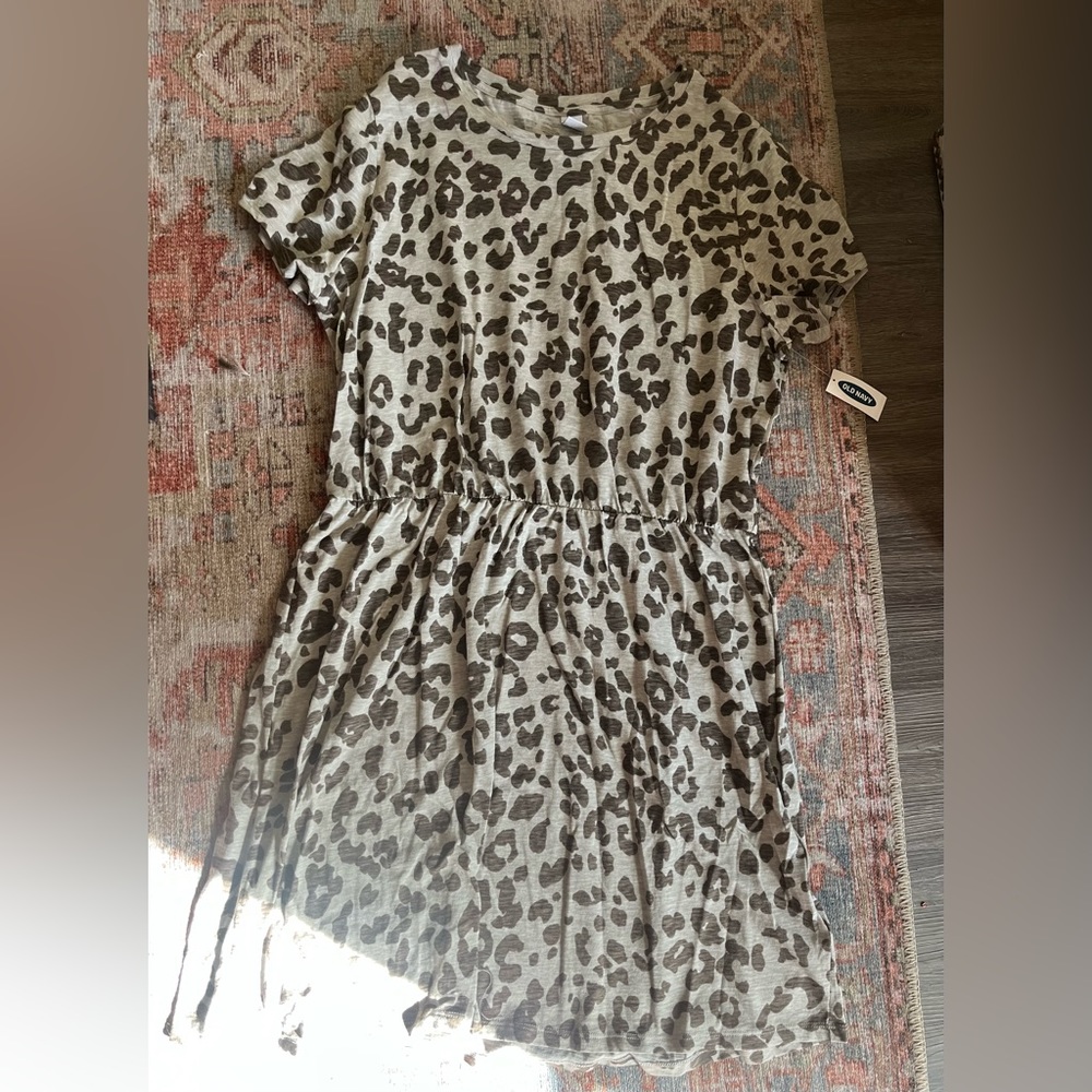 Leopard Print Dress